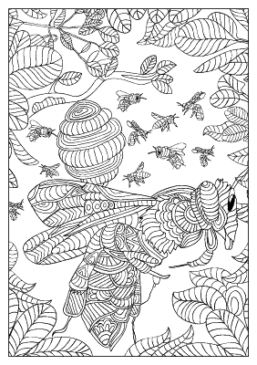 Plusfile Greystoke A5 Flexible Adult Colouring Book